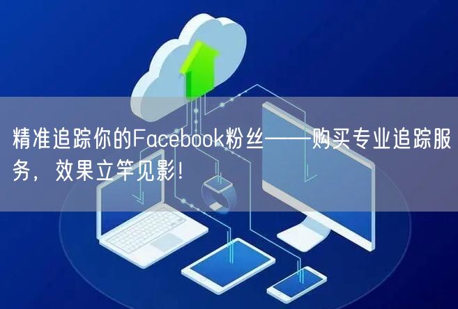 精准追踪你的Facebook粉丝——购买专业追踪服务，效果立竿见影！