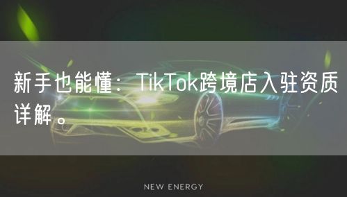 新手也能懂：TikTok跨境店入驻资质详解。