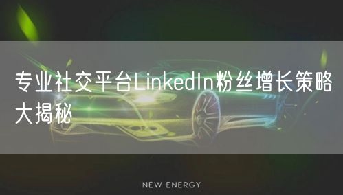 专业社交平台LinkedIn粉丝增长策略大揭秘