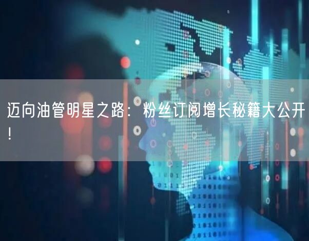 迈向油管明星之路：粉丝订阅增长秘籍大公开！